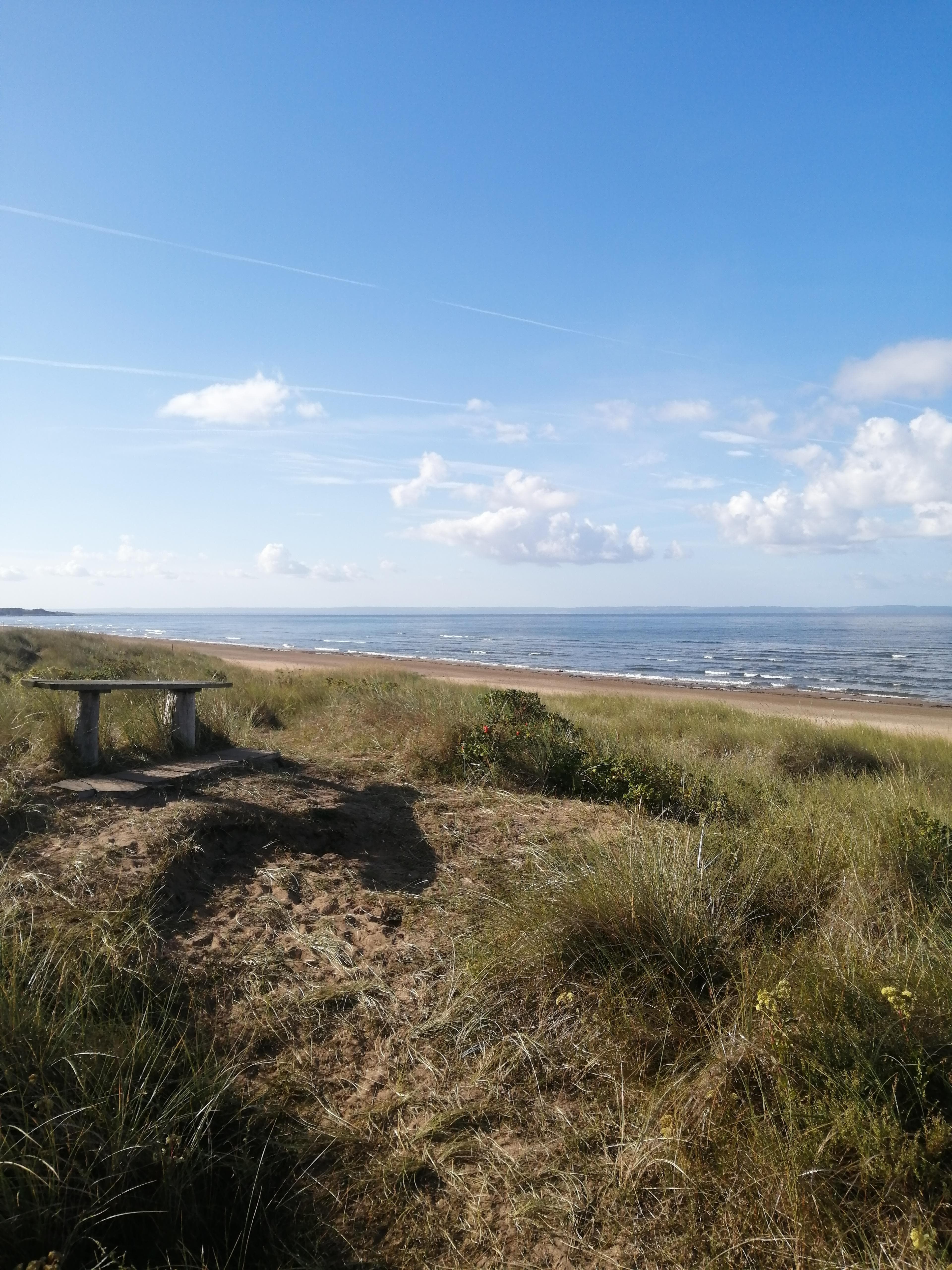 Maria - Personal Trainer at True2Function